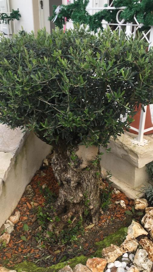 Il Casale Di Gio Bed & Breakfast Napoli Ngoại thất bức ảnh